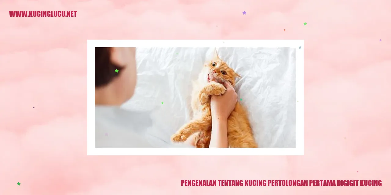 gambar kucing
