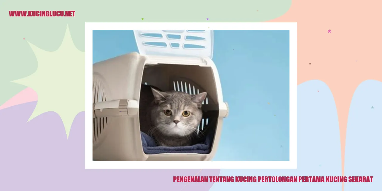 Kucing pertolongan pertama kucing sekarat