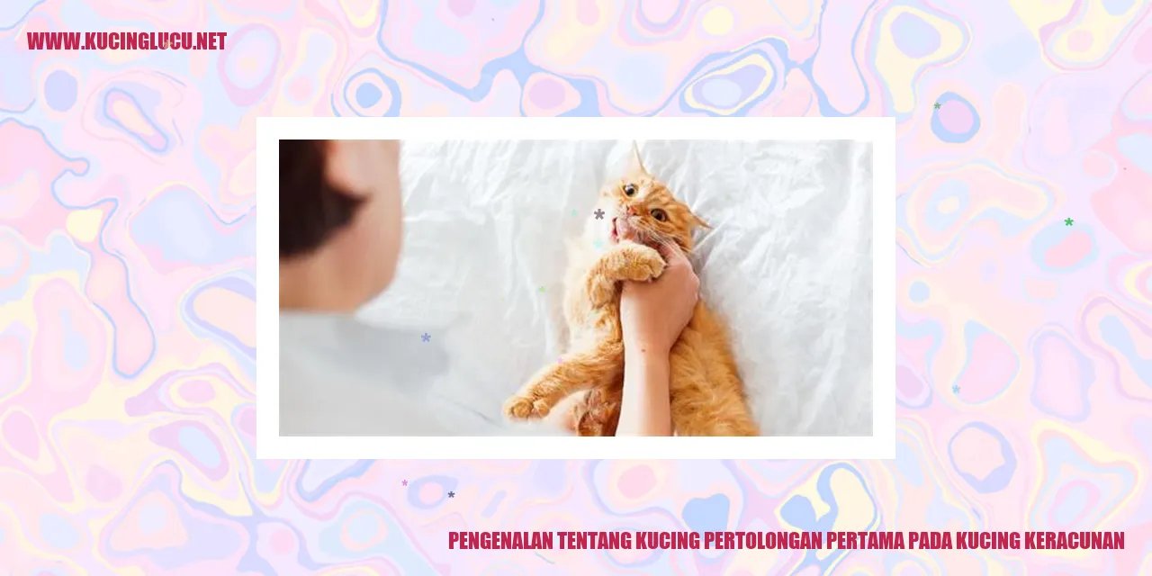 Kucing keracunan