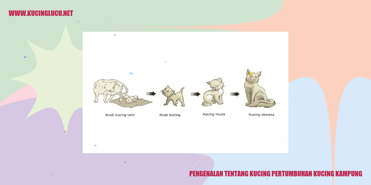 gambar kucing