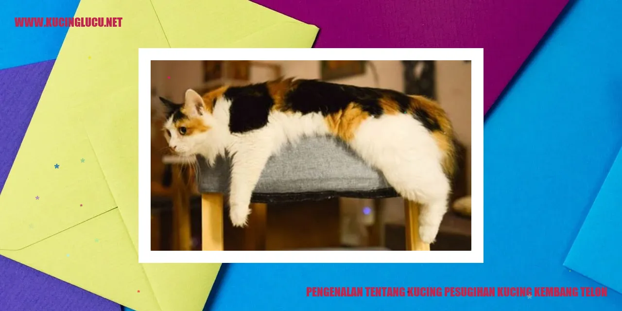 Kucing Pesugihan Kucing Kembang Telon