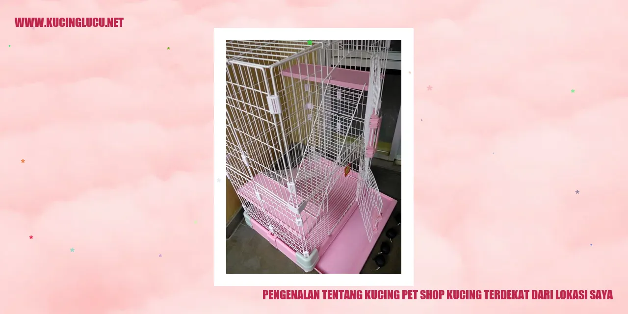 Kucing Pet Shop