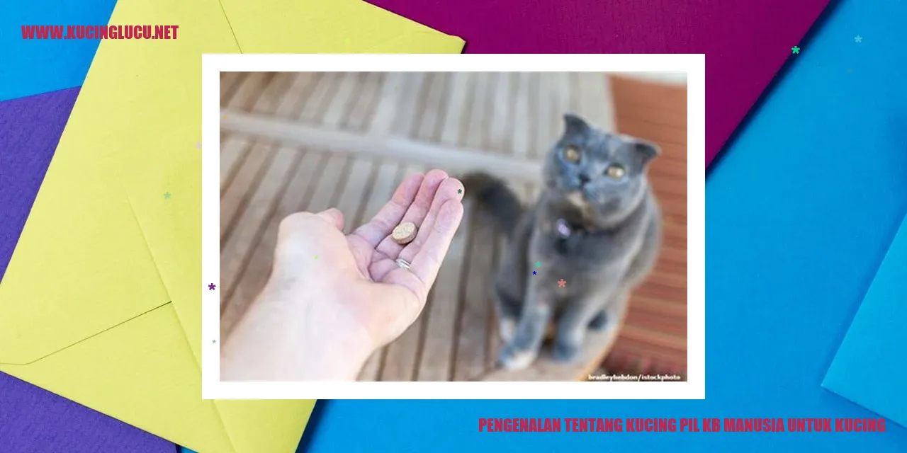 Gambar Kucing