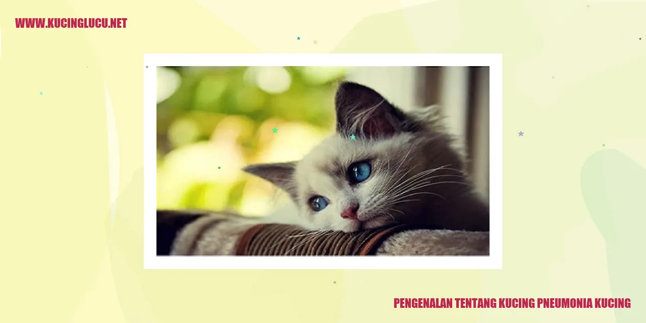 Gambar Kucing Pneumonia