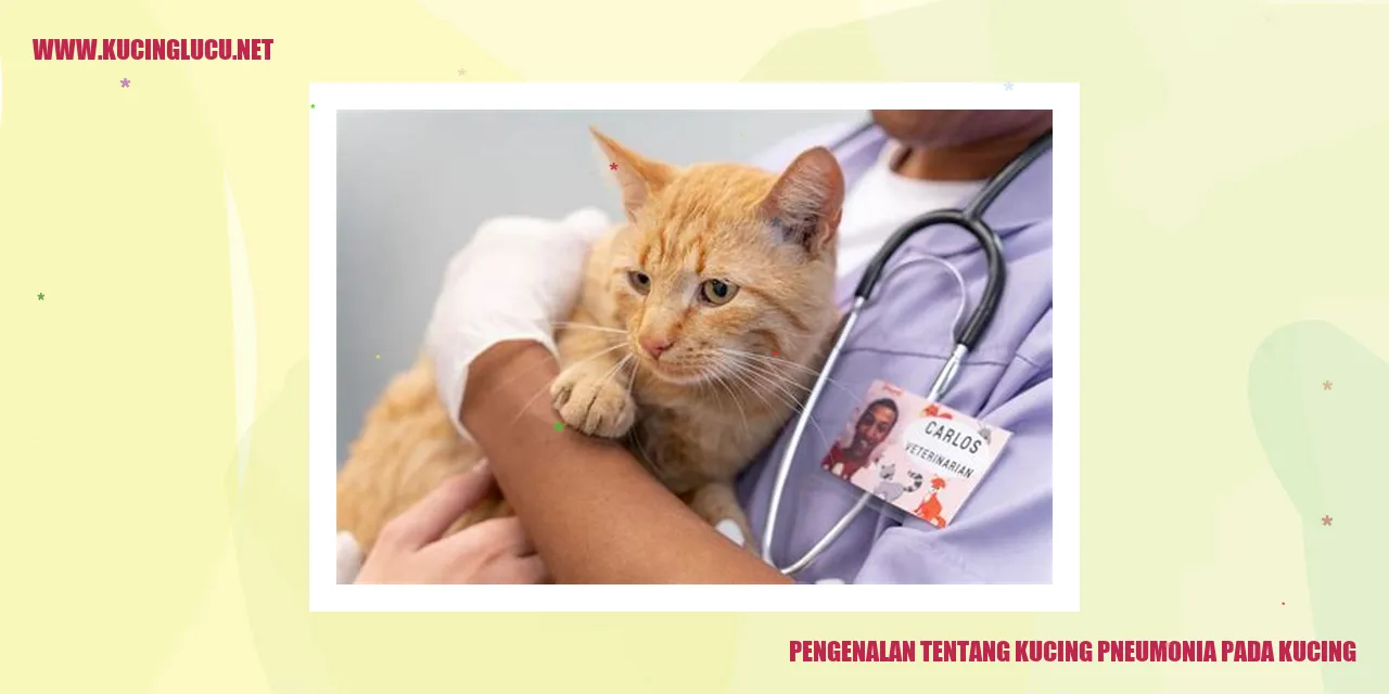 Gambar kucing pneumonia