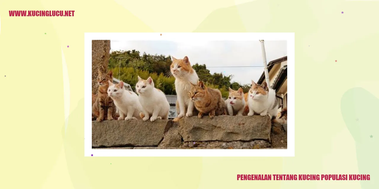 Gambar Kucing