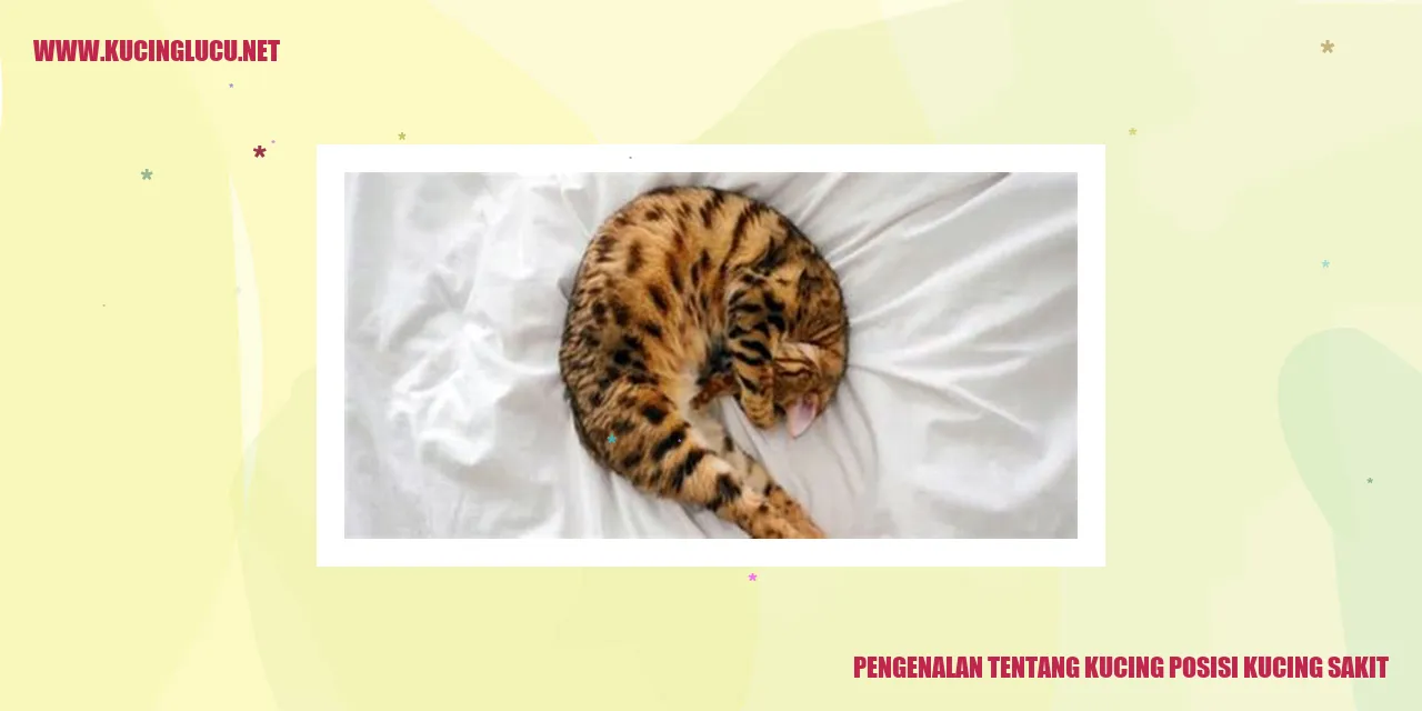 Kucing Sakit