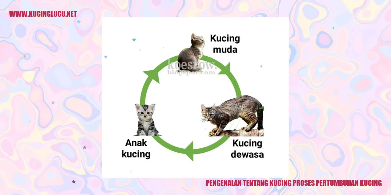 Ilustrasi menggemaskan seekor kucing