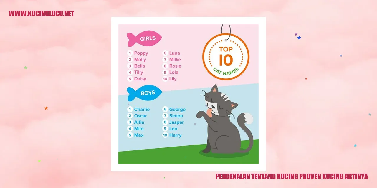 Foto Kucing