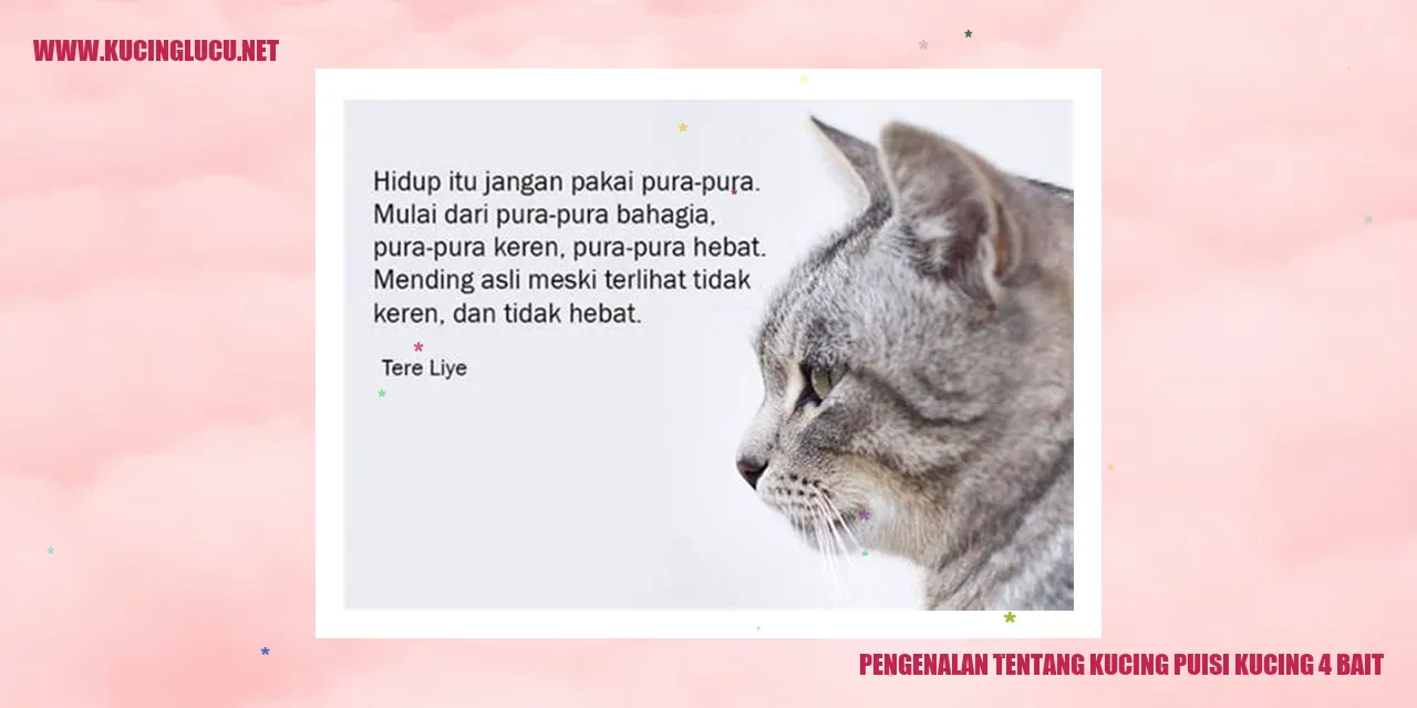 Gambar Kucing