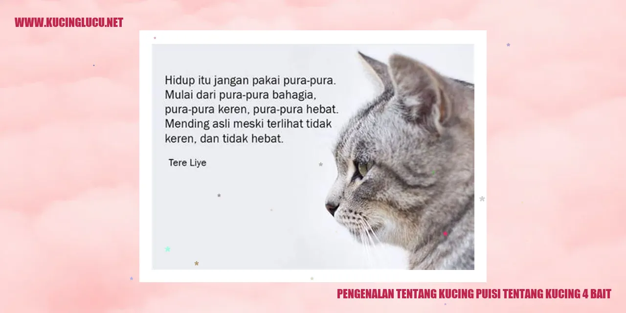 Gambar Kucing