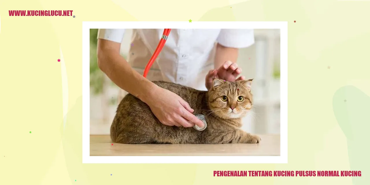 Kucing normal