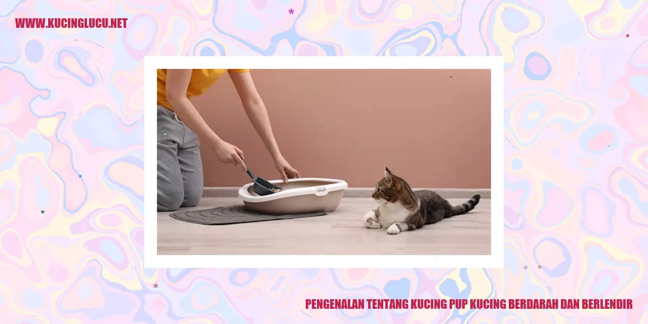 Gambar Kucing Pup