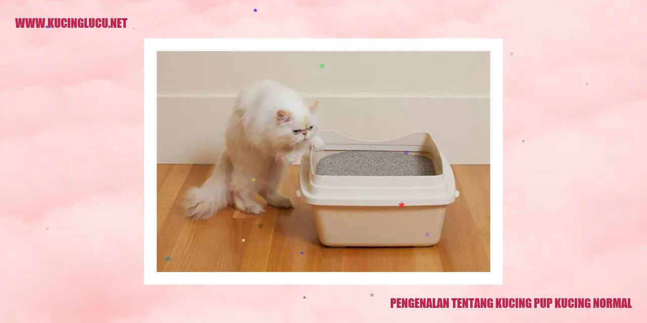 Kucing pup kucing normal