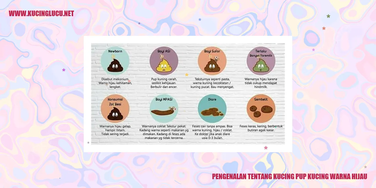 Gambar Kucing pup kucing warna hijau
