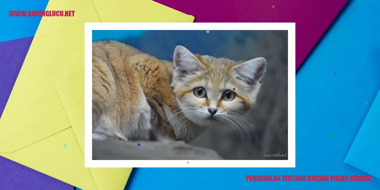 Kucing Pusar Kucing