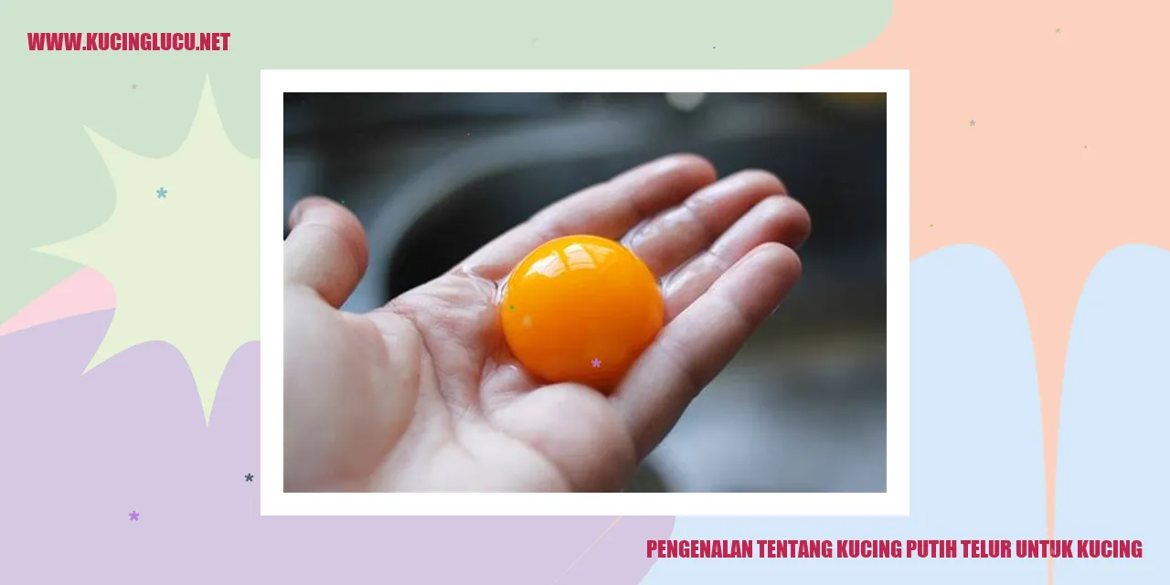 Gambar Kucing Putih Telur