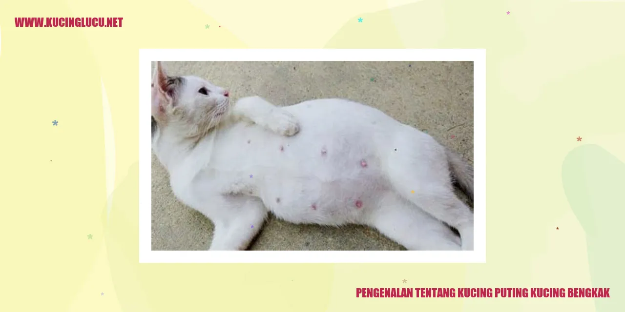 Kucing dengan Puting Kucing Bengkak