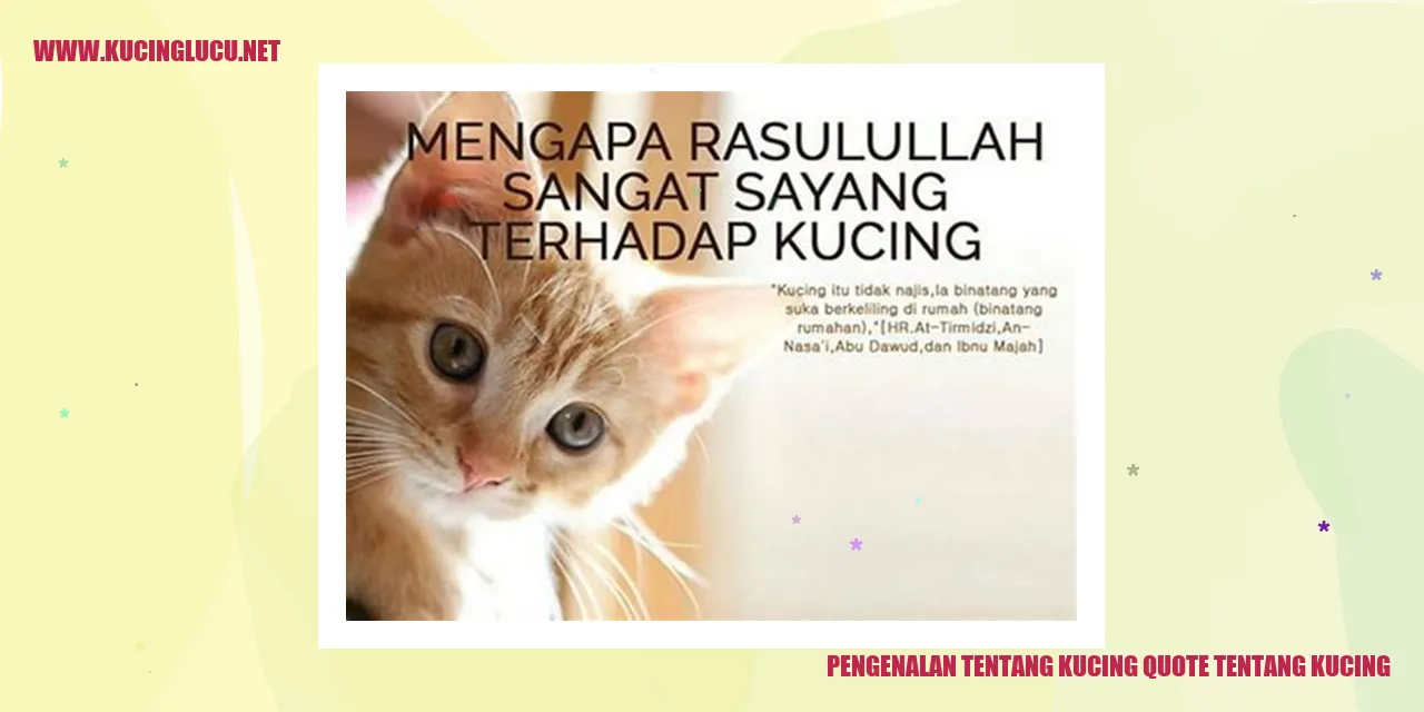 Pengenalan tentang Kucing quote tentang kucing