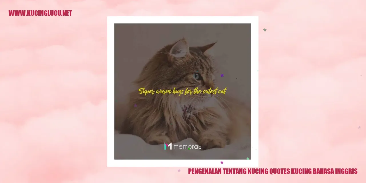 Gambar Kucing