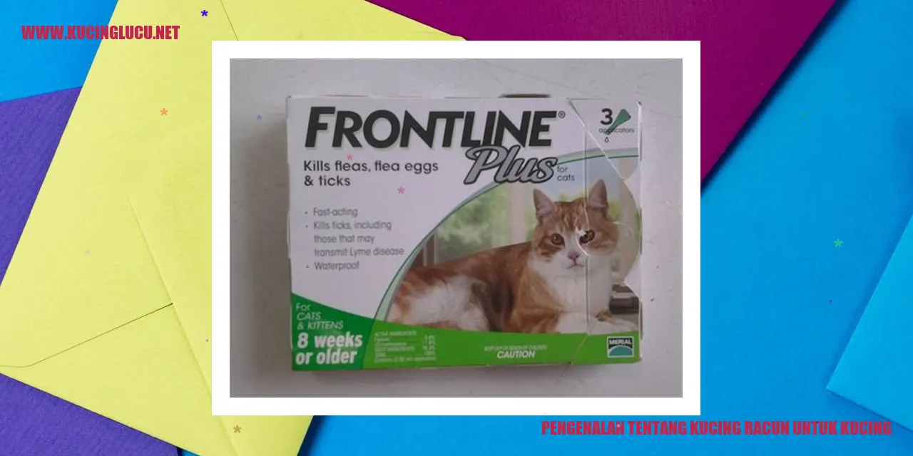 Gambar Kucing Racun
