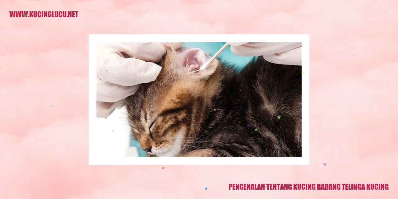 Kucing Radang Telinga