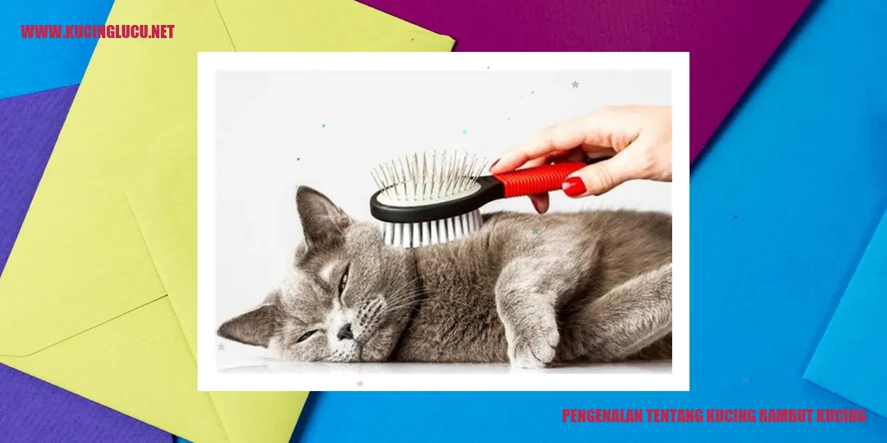 Kucing Rambut Kucing