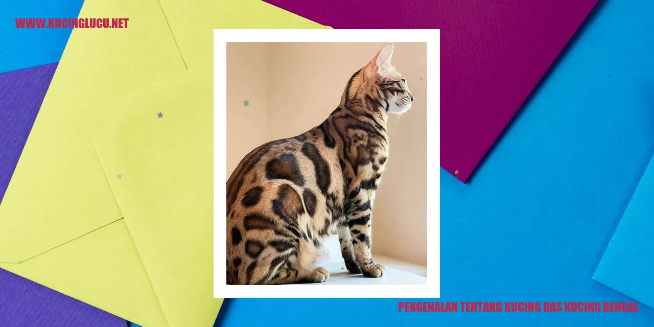 Kucing Bengal