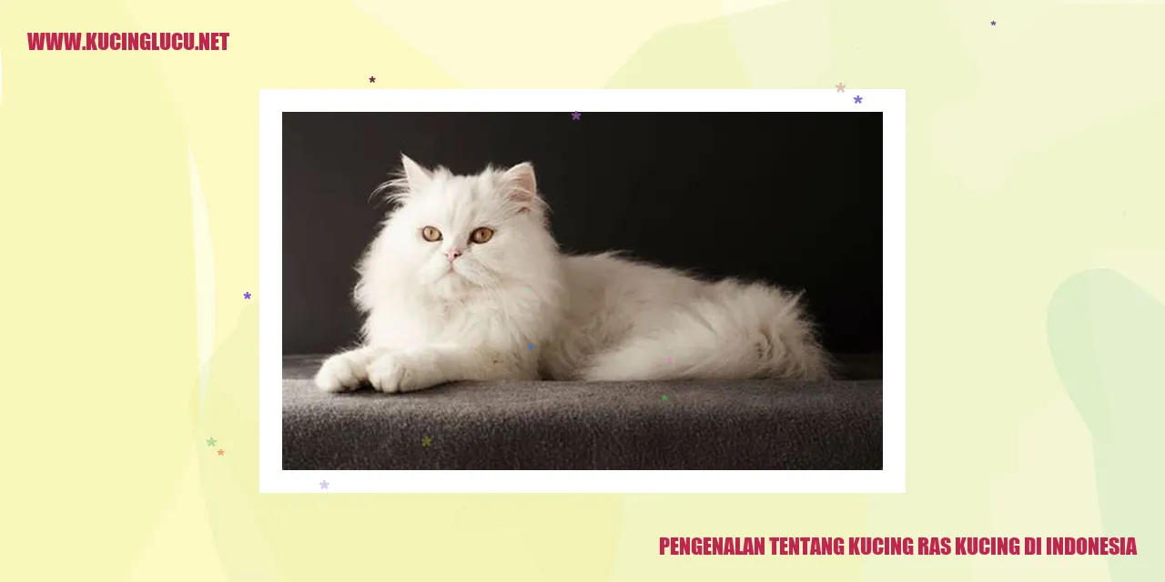 Gambar Kucing Ras di Indonesia