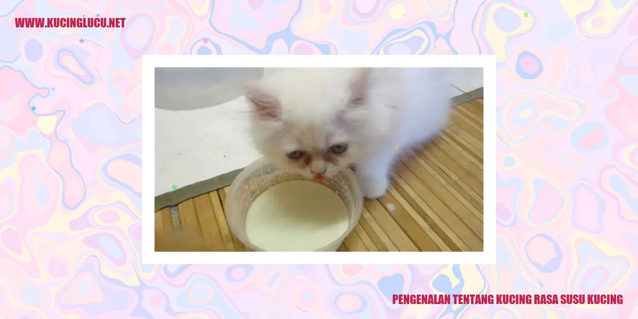 Gambar Kucing rasa susu kucing