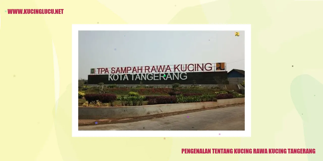 Kucing Rawar Kucing