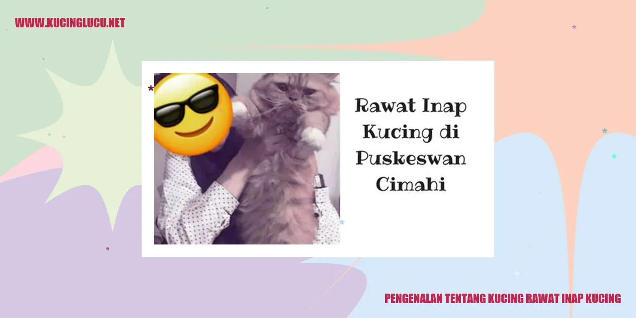 Kucing rawat inap