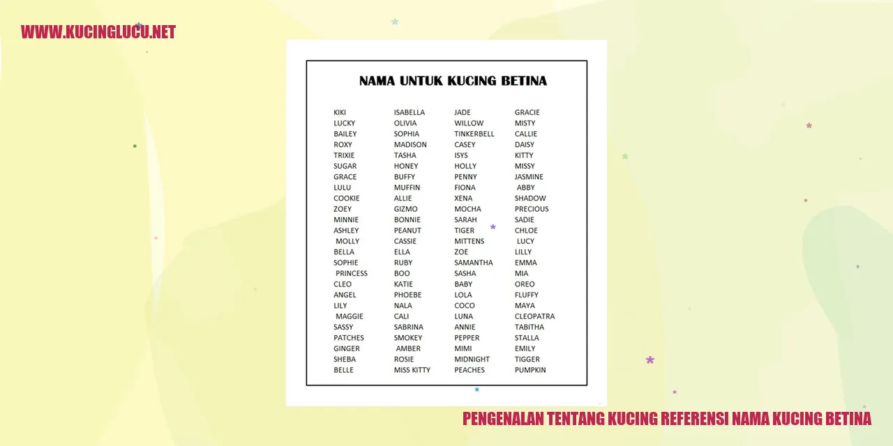 Foto Kucing Betina