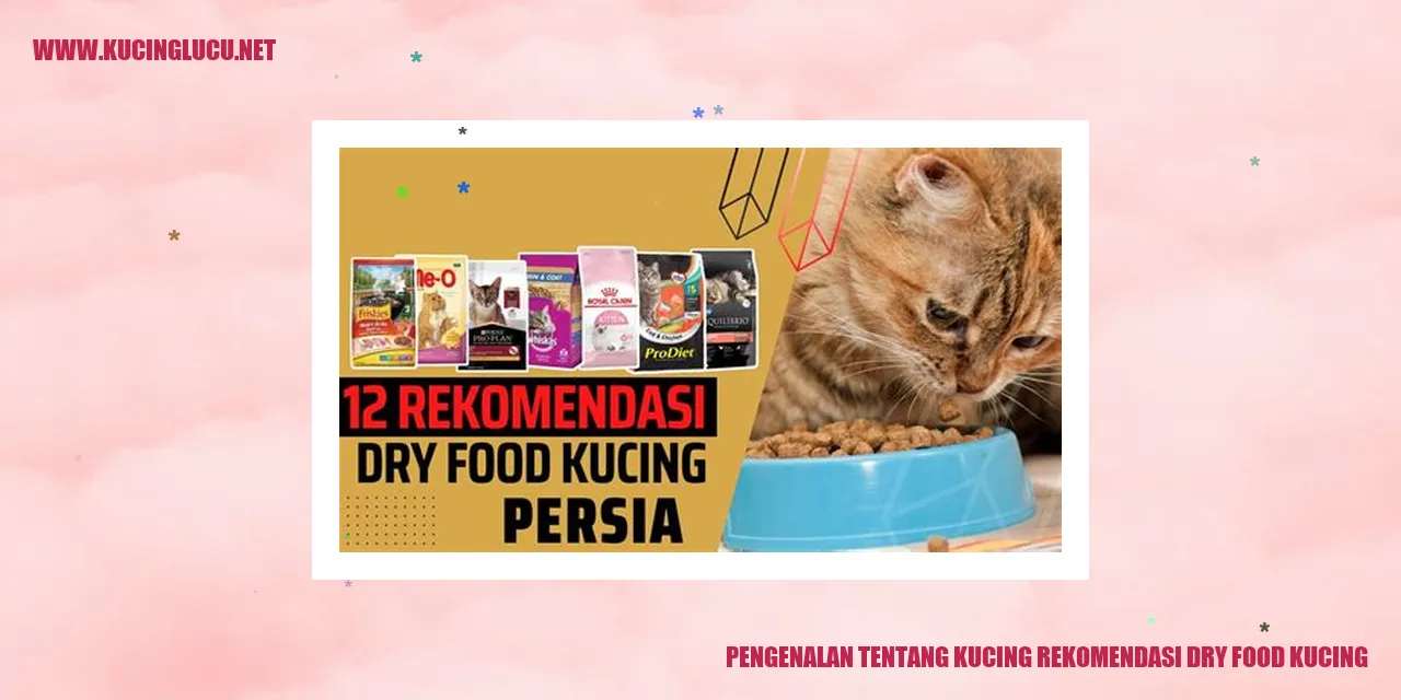 Kucing makan dry food