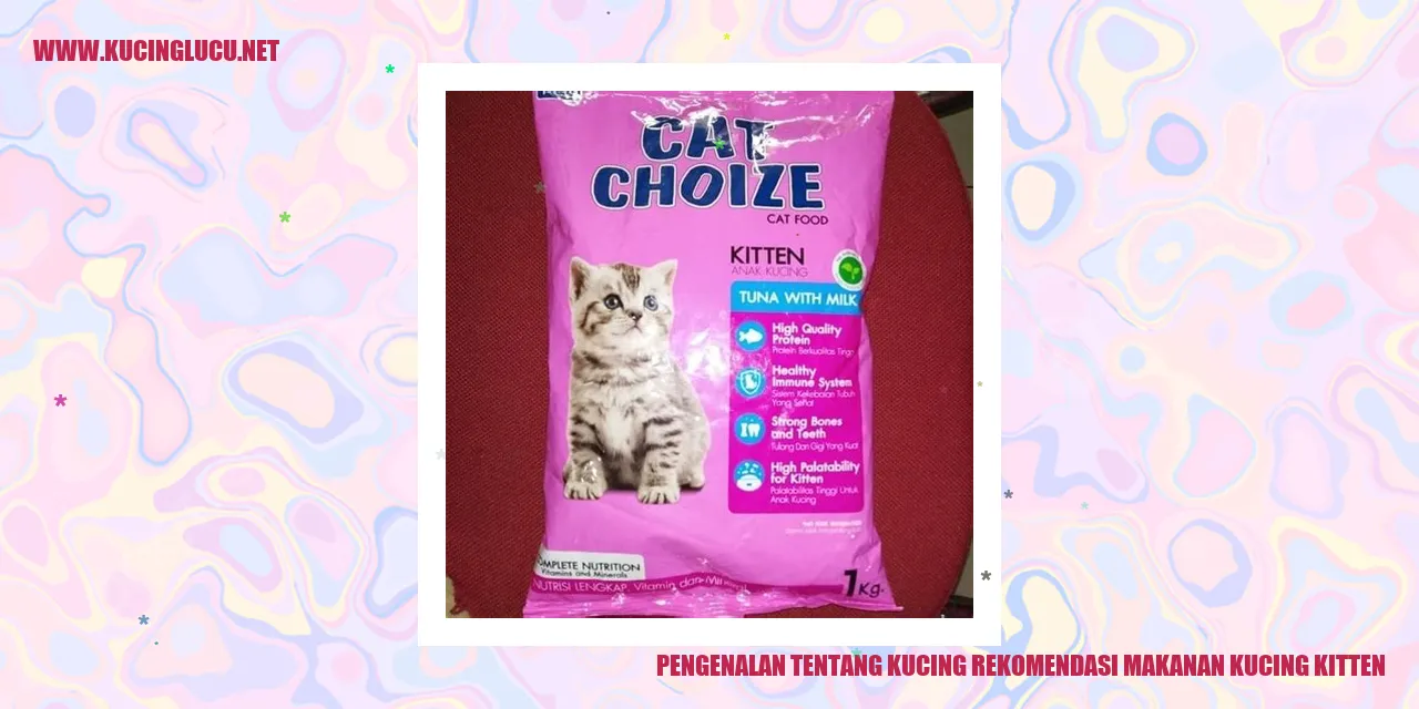 Foto Kucing