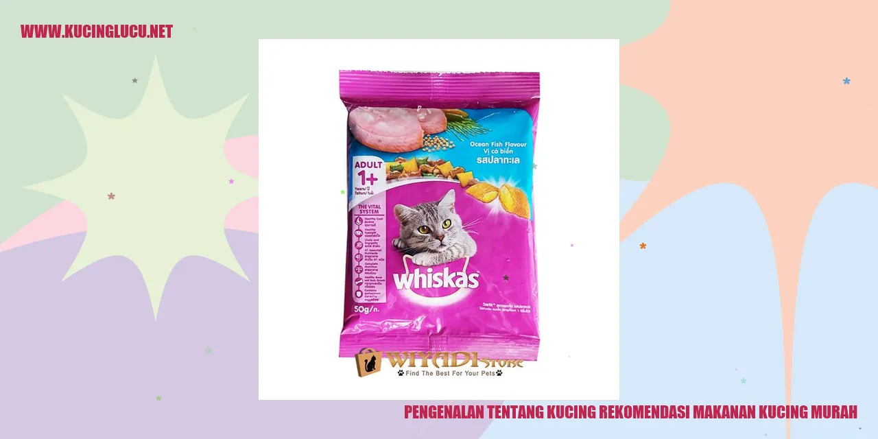 Gambar kucing menggemaskan