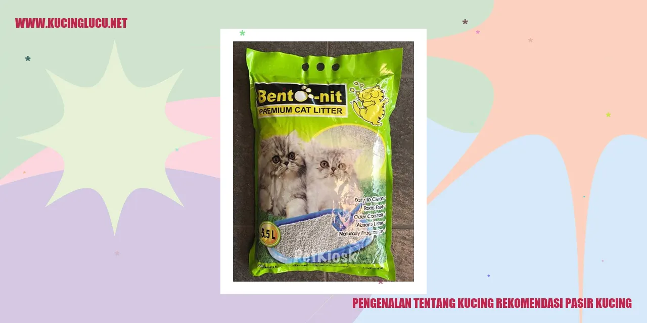 Kucing menggunakan pasir kucing