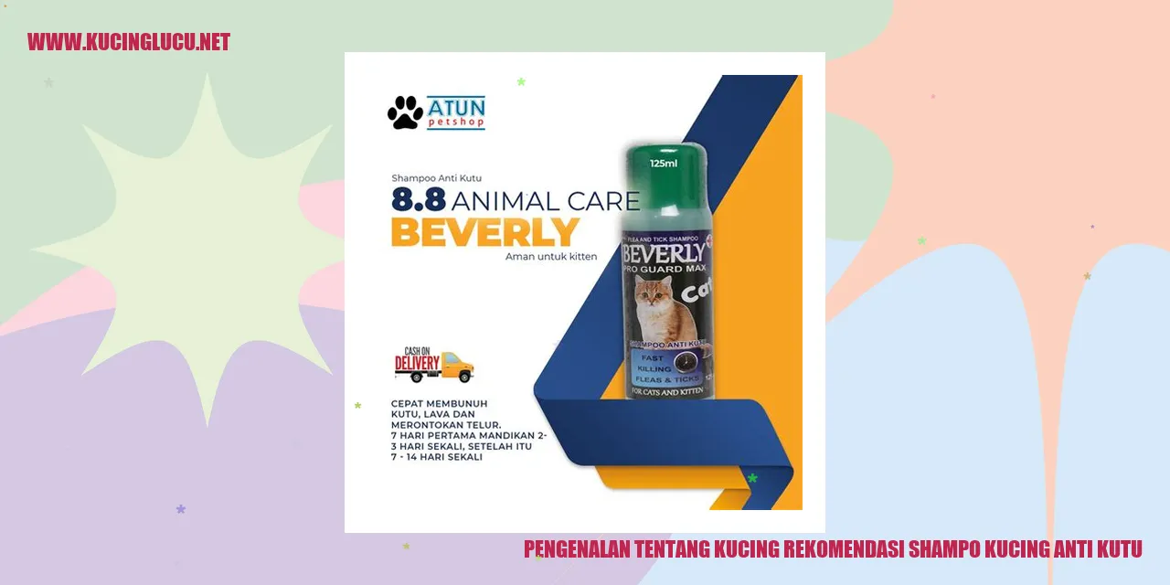 gambar kucing