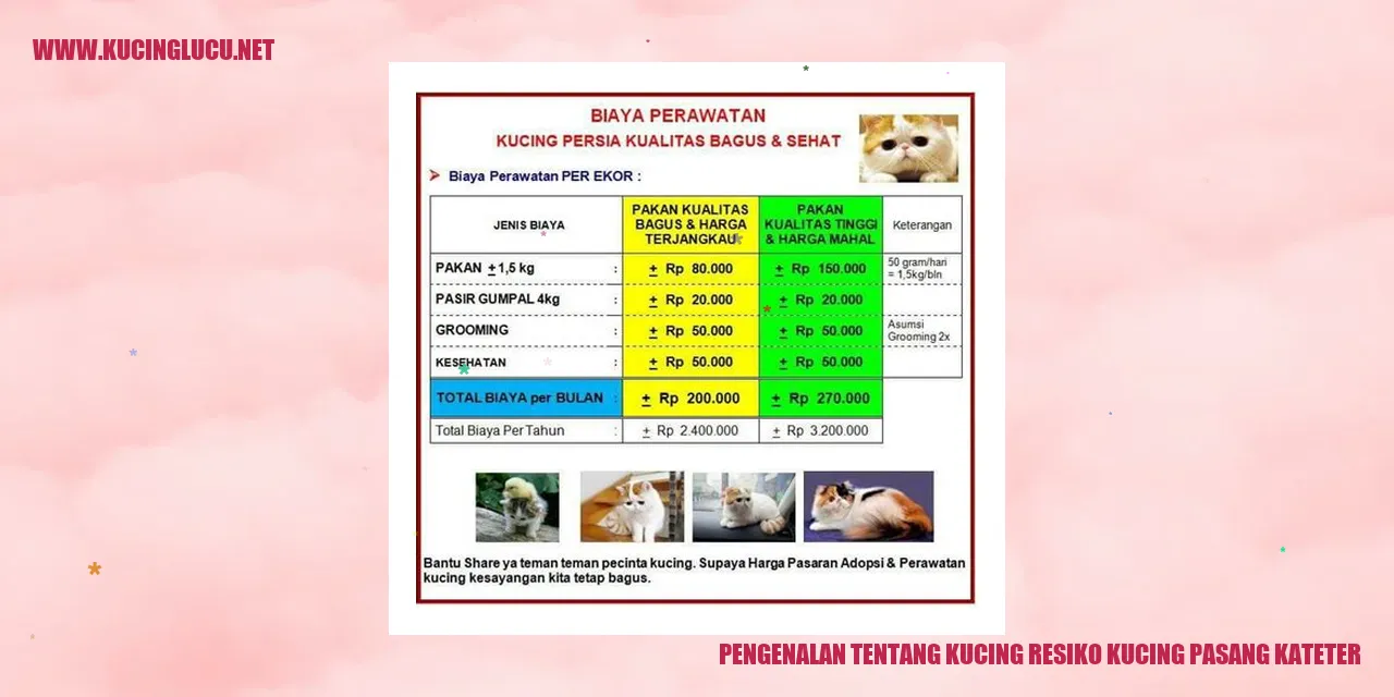Gambar kucing