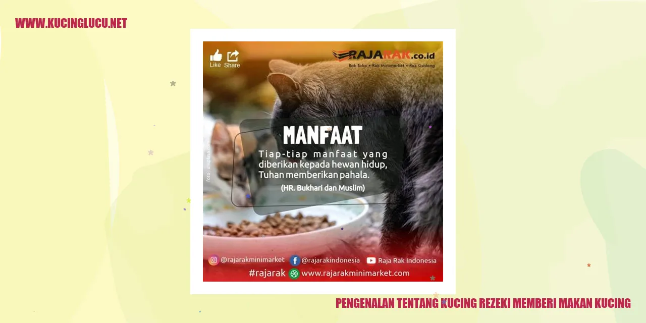 Kucing Lucu
