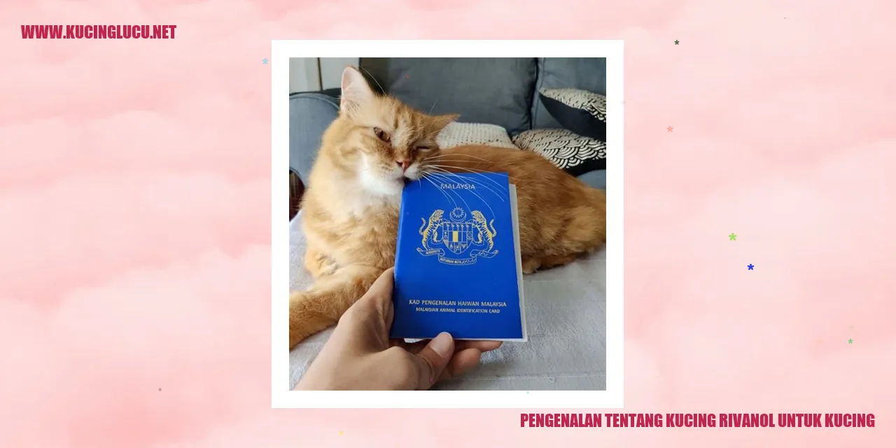 Gambar Kucing
