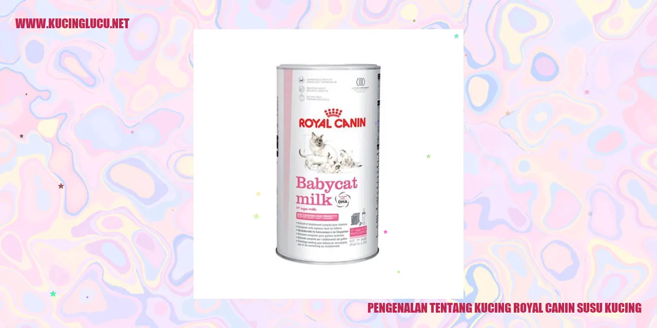 Kucing Royal Canin Susu Kucing