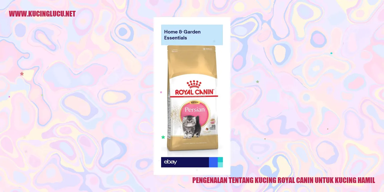 gambar kucing hamil
