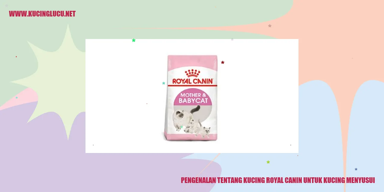 Gambar kucing royal canin