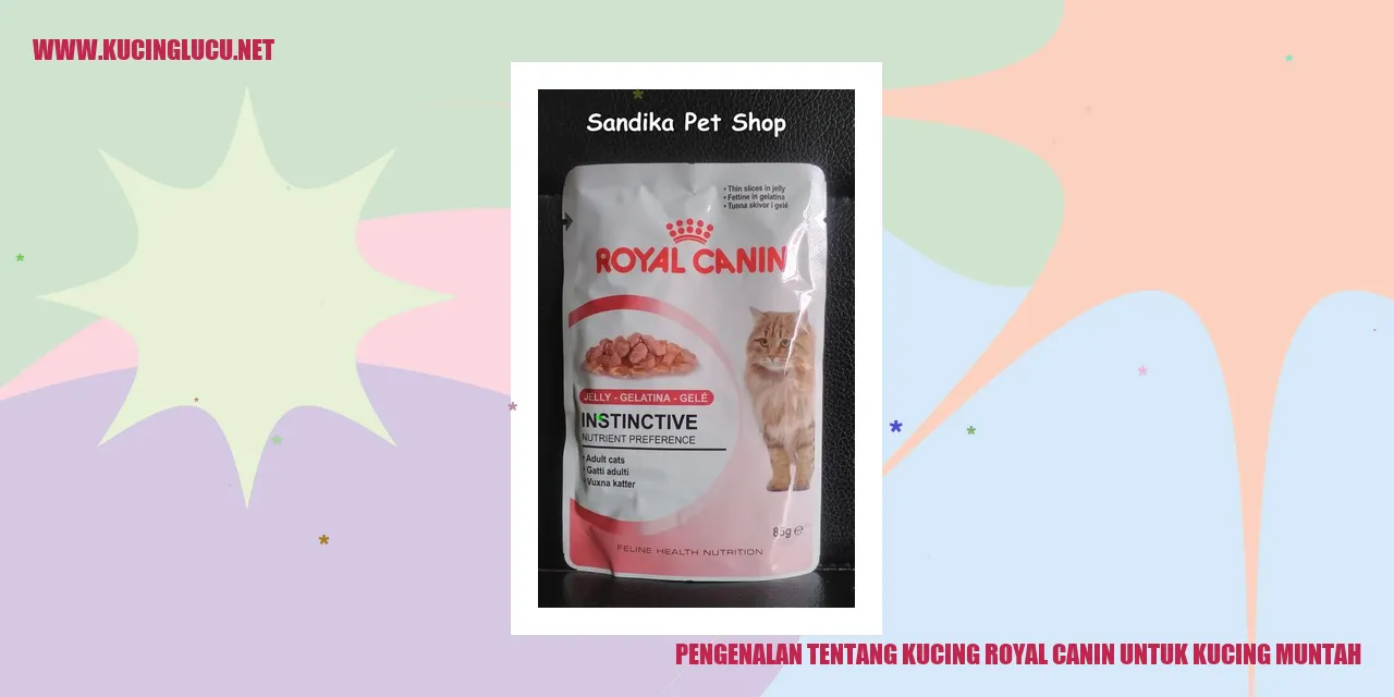 Pengenalan mengenai Kucing Royal Canin untuk mengatasi muntah pada kucing