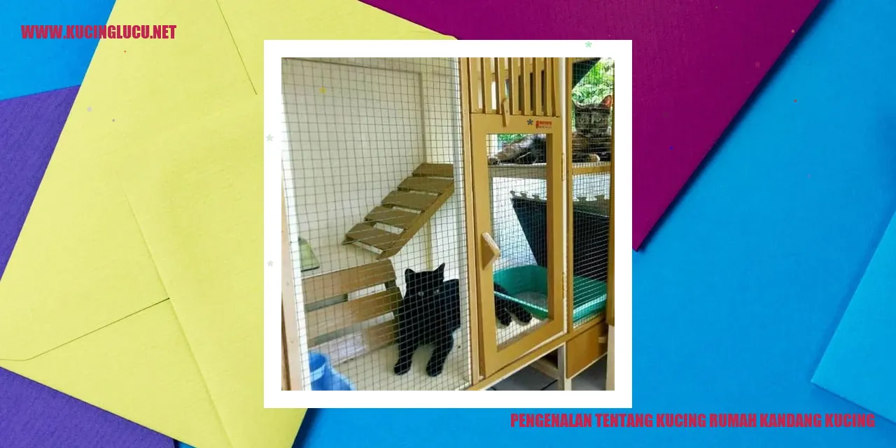 Kucing rumah kandang kucing