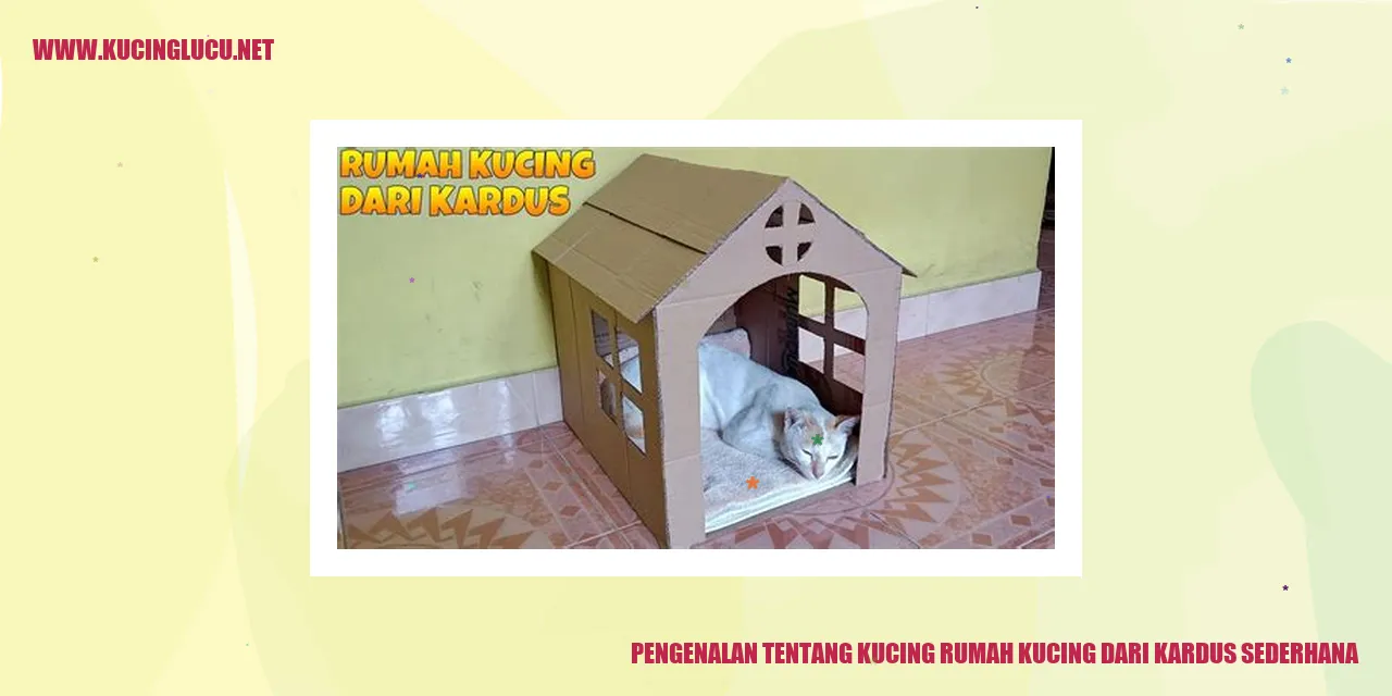 Gambar Kucing Rumah