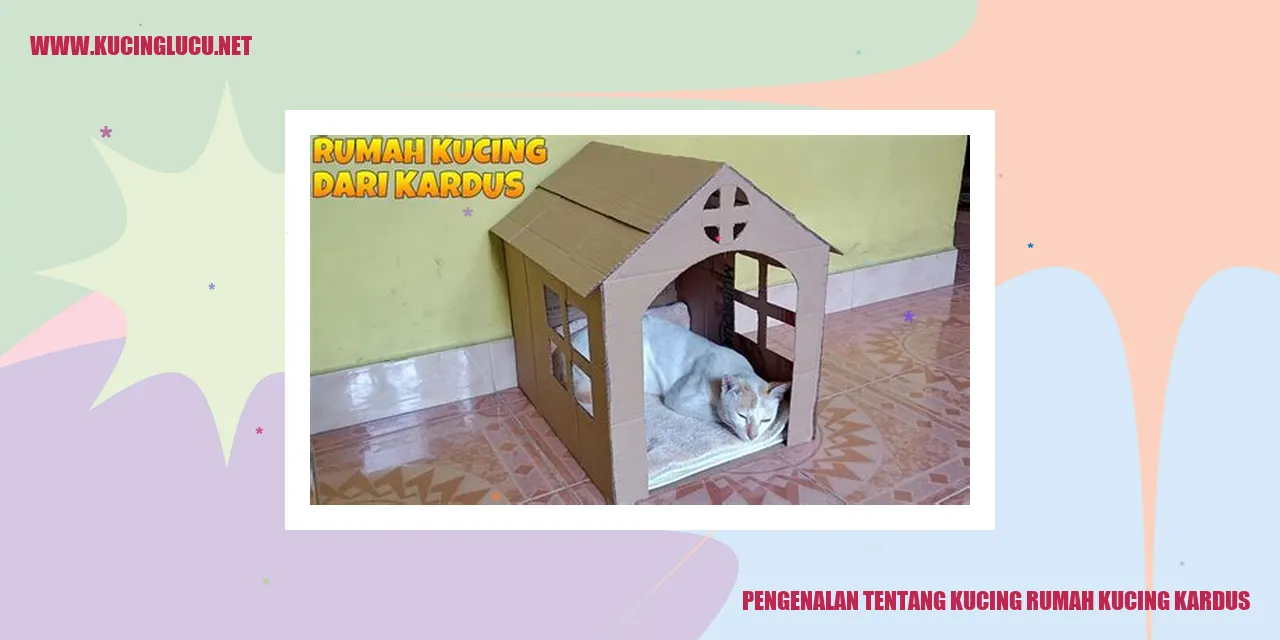 Kucing pemilik kardus