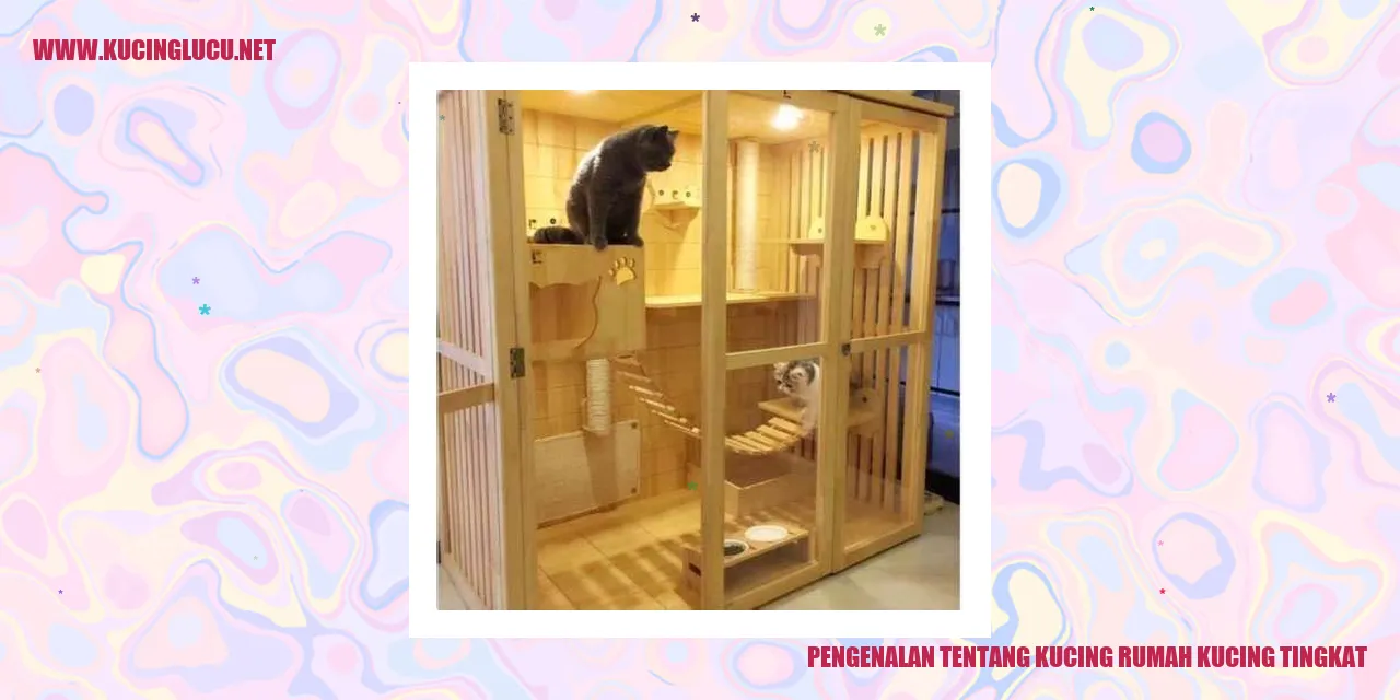 Foto Kucing rumah kucing tingkat