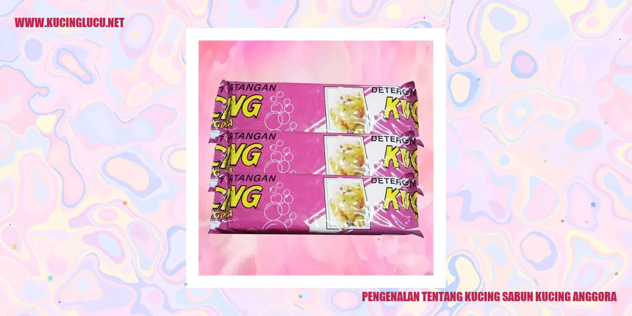 Kucing Sabun Kucing Anggora